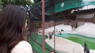 AV东洋无码-【网曝门】南京交通学校大二女运管4P迷奸事件（刘梦亿）