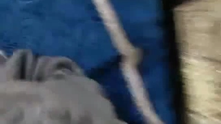 欧美日韩人妻激情-第一次与男友以外的男人在行使中车震!