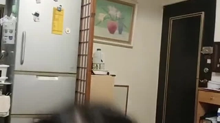 娇妻 雪白 呻吟-美女学生妹子是男友的乖母狗，戴着狗炼项圈乖乖让男友无套抽插~